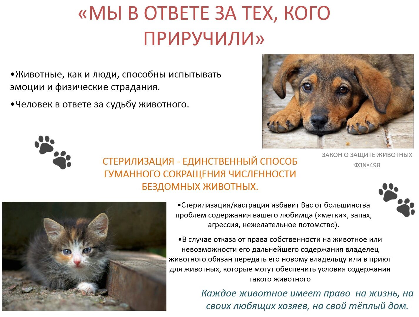 Памятка по обращению с домашними животными